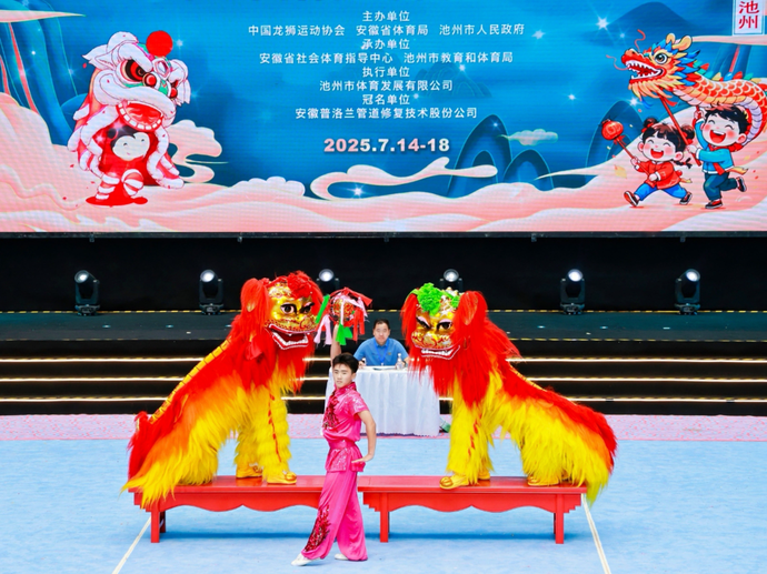 球的妙趣横, 狮代表队的, 安徽省界首