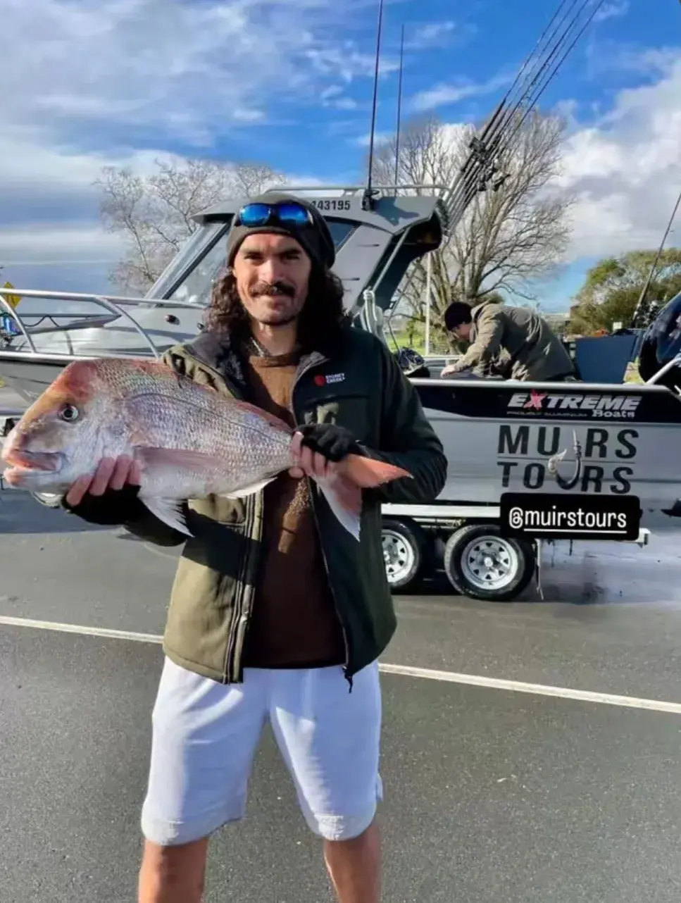 申京的技术 申京的技术