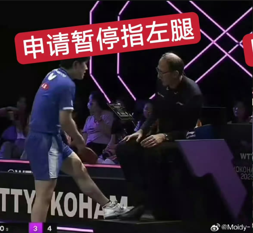 王楚钦和张 王楚钦和张