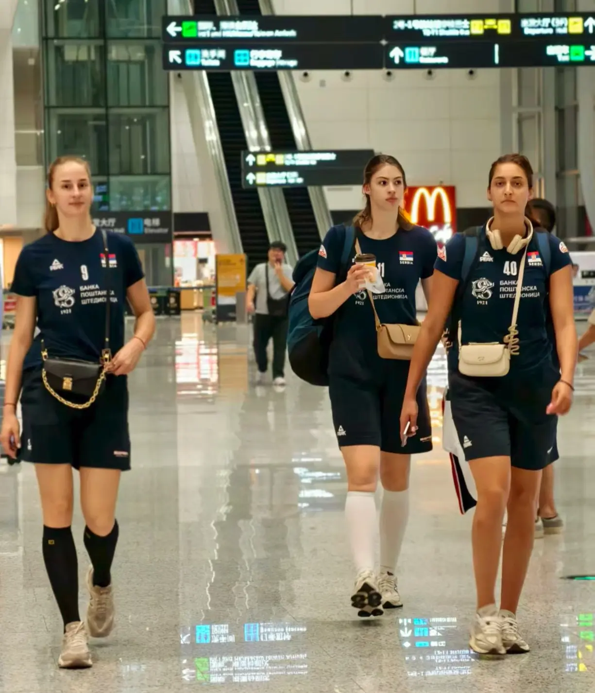 接待酒店宝, 际排球盛宴 接待酒店宝, 际排球盛宴